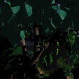 Jungle